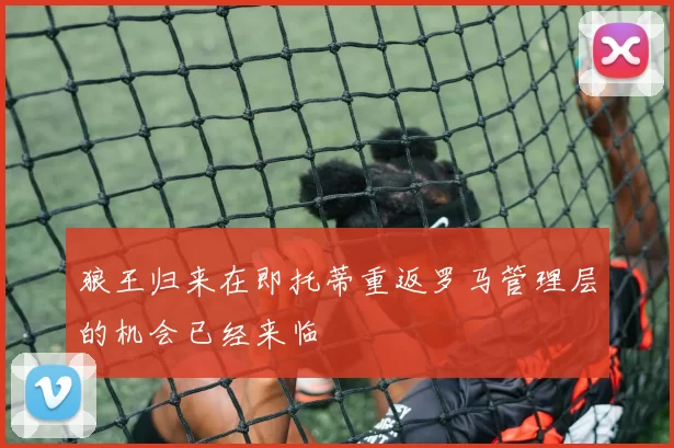 狼王归来在即托蒂重返罗马管理层的机会已经来临